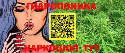 стафф Вязьма