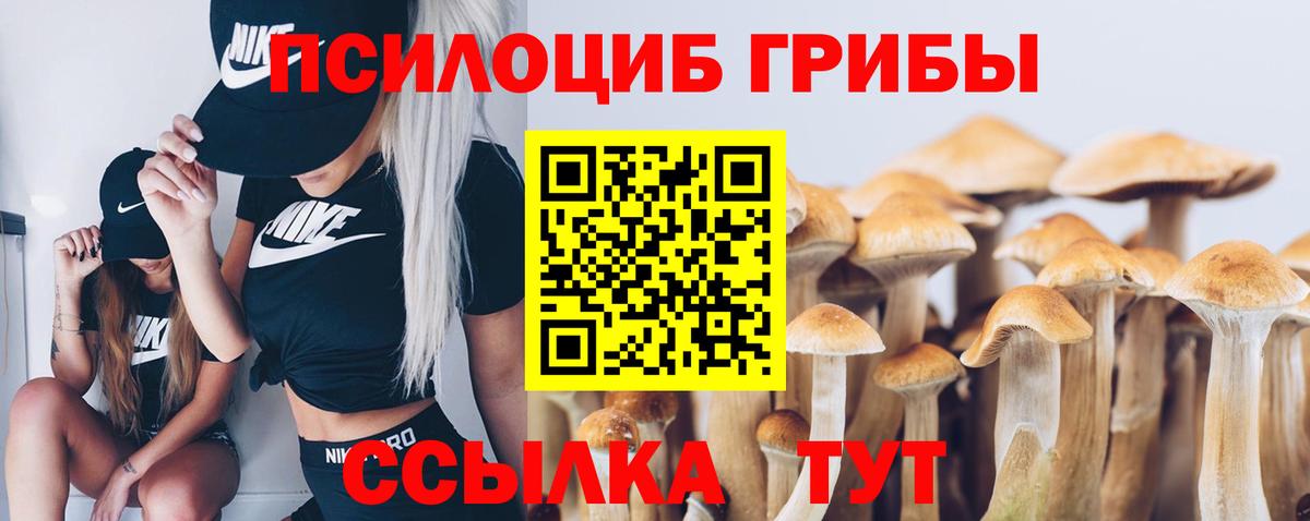Псилоцибиновые грибы мицелий  Псилоцибиновые грибы Magic Shrooms  Вход с VPN  Вязьма 
